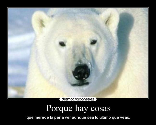 Porque hay cosas - 