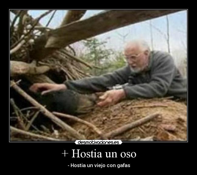 + Hostia un oso -