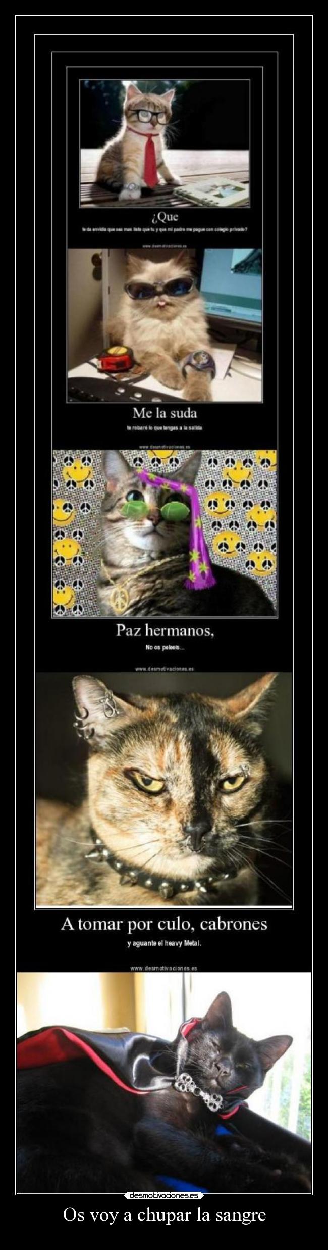 carteles vamcat desmotivaciones