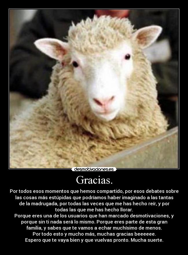 Gracias. - Por todos esos momentos que hemos compartido, por esos debates sobre
las cosas más estúpidas que podríamos haber imaginado a las tantas
de la madrugada, por todas las veces que me has hecho reír, y por
todas las que me has hecho llorar.
Porque eres una de los usuarios que han marcado desmotivaciones, y
porque sin ti nada será lo mismo. Porque eres parte de esta gran
familia, y sabes que te vamos a echar muchísimo de menos.
Por todo esto y mucho más, muchas gracias beeeeee.
Espero que te vaya bien y que vuelvas pronto. Mucha suerte.
