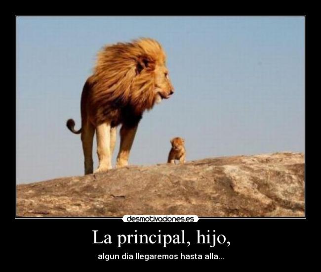 carteles leon desmotivaciones