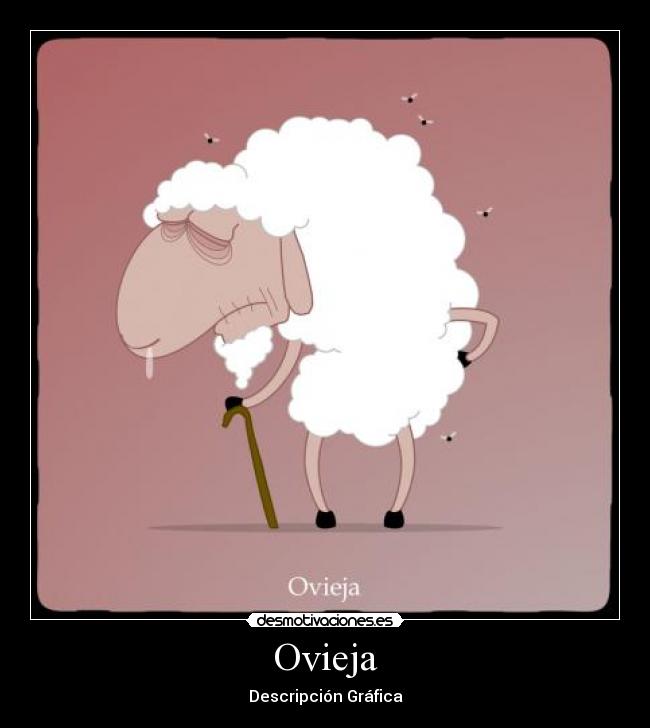 Ovieja - 