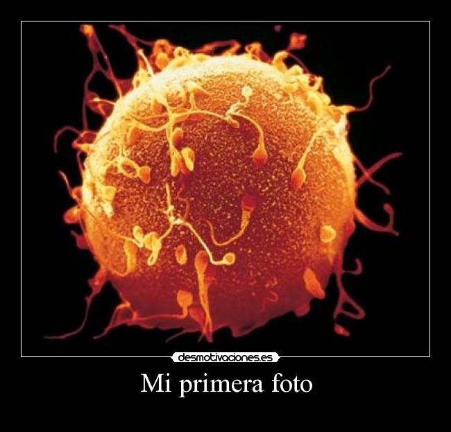 carteles espermatozoide ovulo esperma foto desmotivaciones