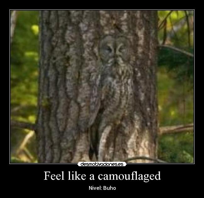 carteles mgc776 desmotivaciones