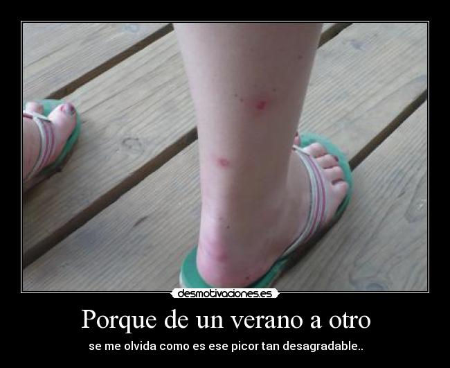 Porque de un verano a otro -