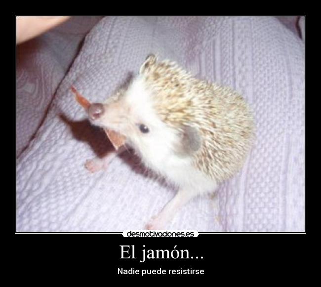 El jamón... - 
