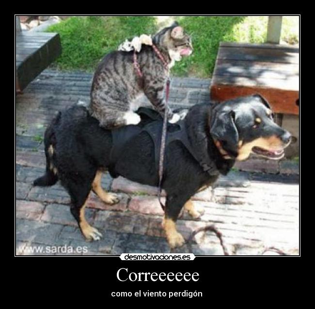 Correeeeee - como el viento perdigón