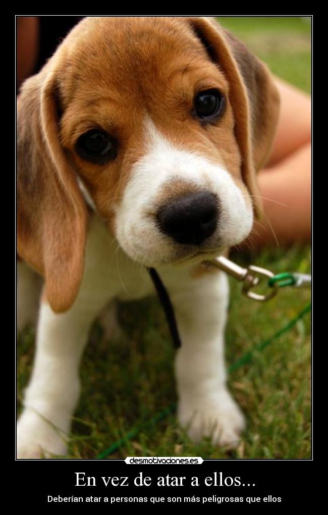 En vez de atar a ellos... - 
