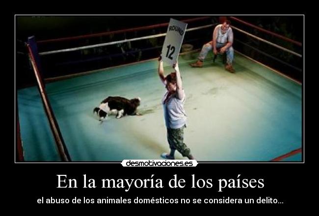 En la mayoría de los países - el abuso de los animales domésticos no se considera un delito...