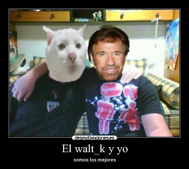 carteles paco walt_k chuck norris desmotivaciones