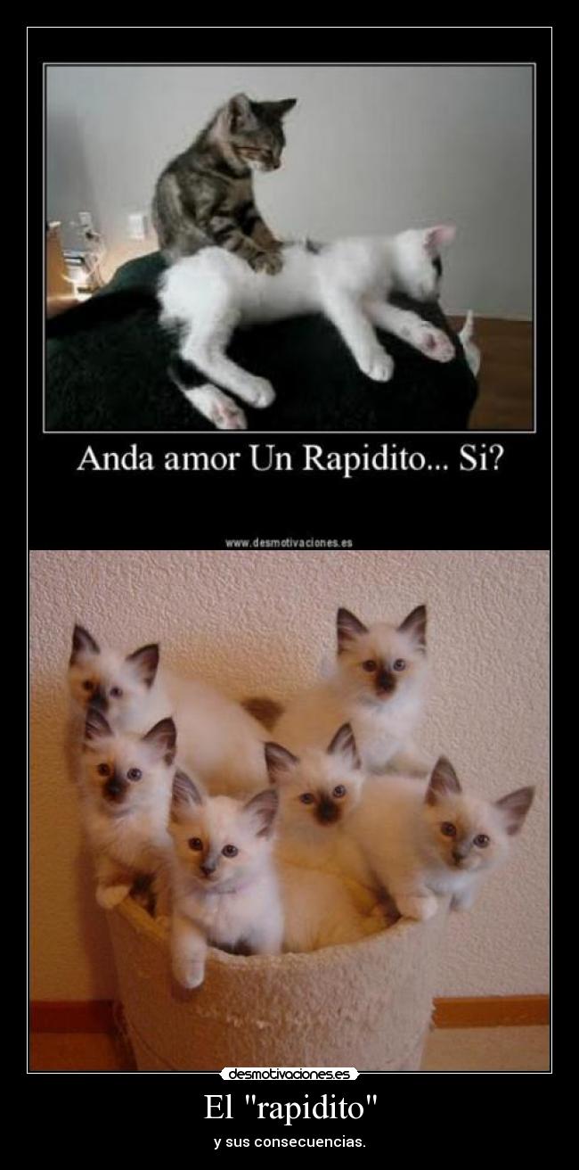 El rapidito - y sus consecuencias.