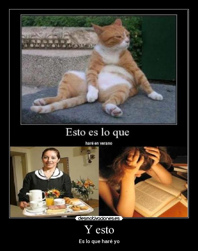 carteles estudiar trabajar verano desmotivaciones