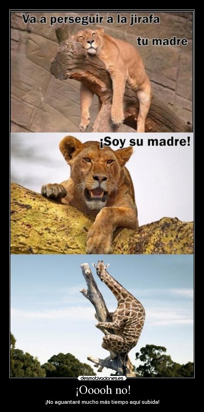 ¡Ooooh no! - ¡No aguantaré mucho más tiempo aquí subida!