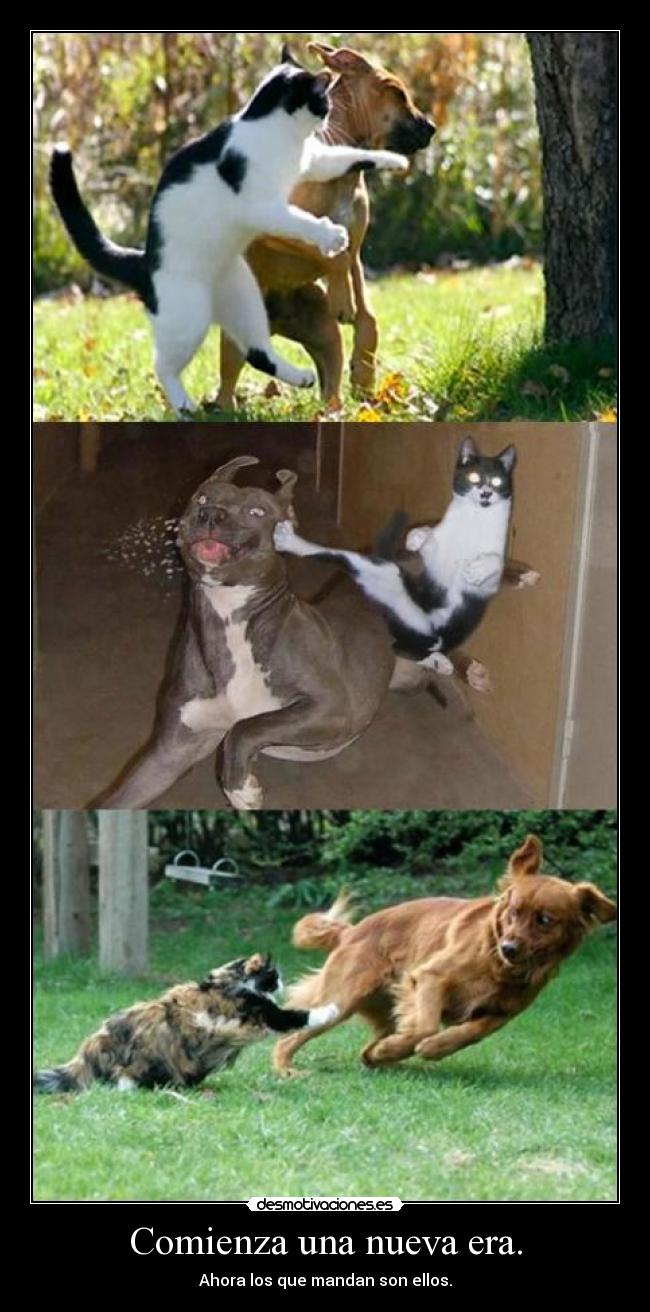 Comienza una nueva era. - Ahora los que mandan son ellos.