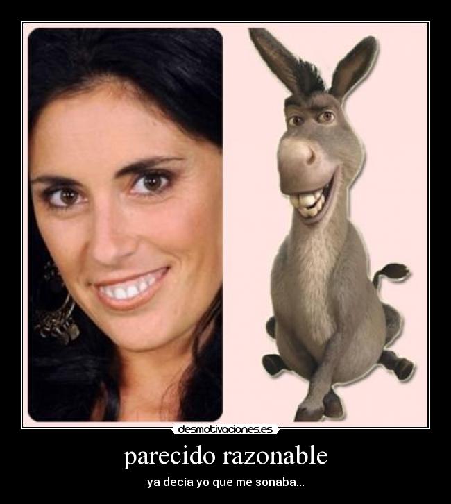 parecido razonable - 