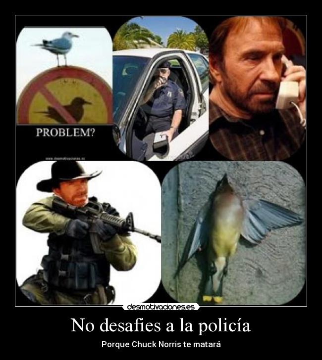 No desafies a la policía -