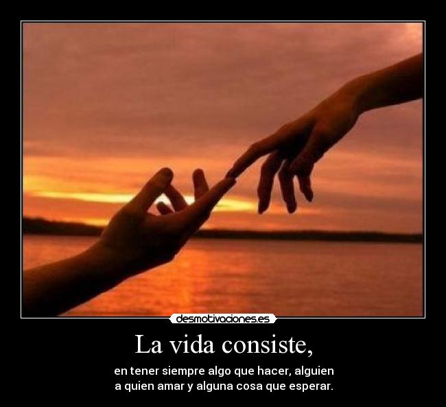 carteles vida beky desmotivaciones