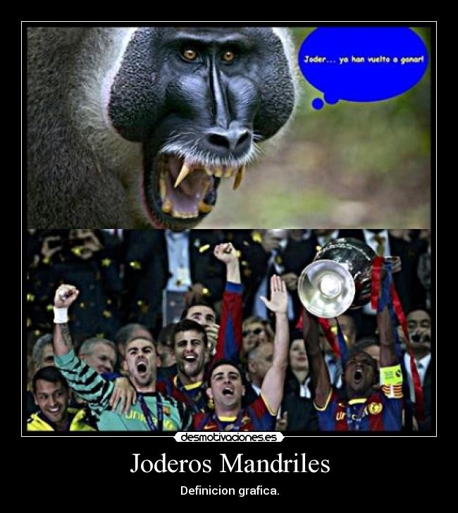 Joderos Mandriles - Definicion grafica.