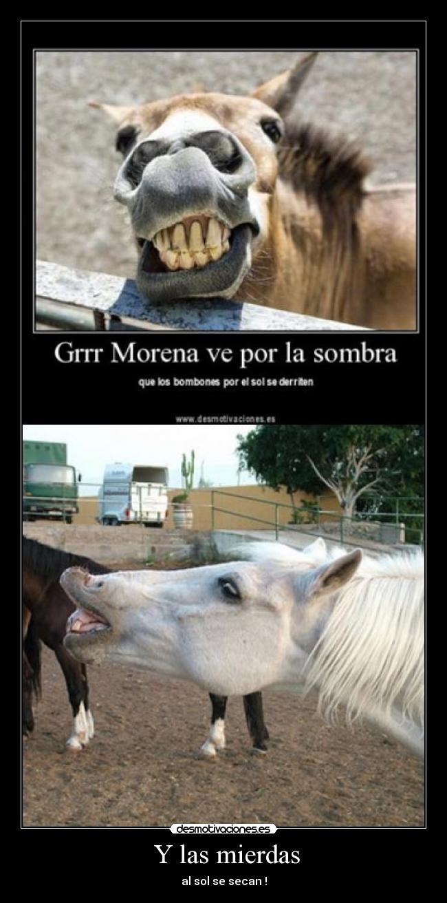 Y las mierdas - al sol se secan !