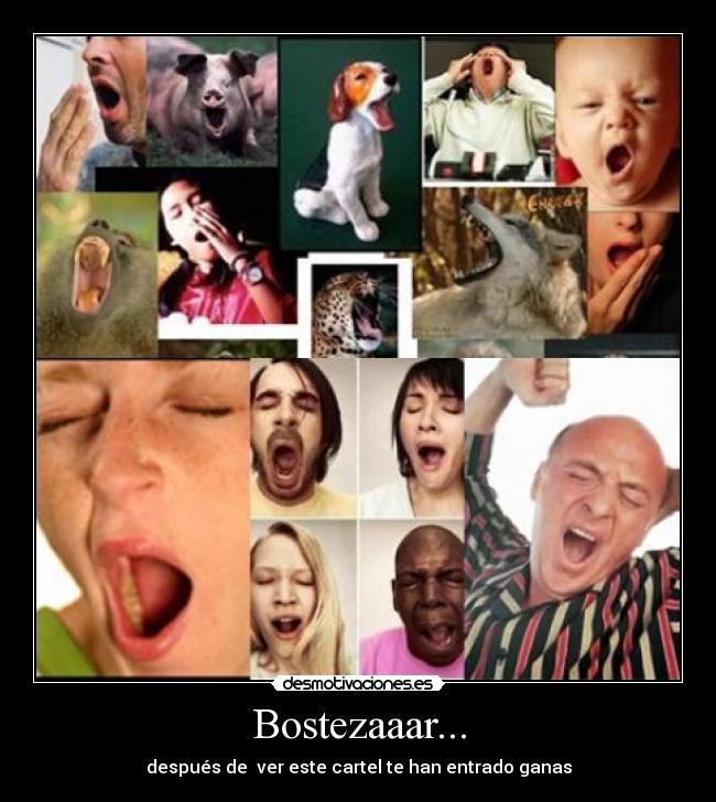 Bostezaaar... - después de  ver este cartel te han entrado ganas