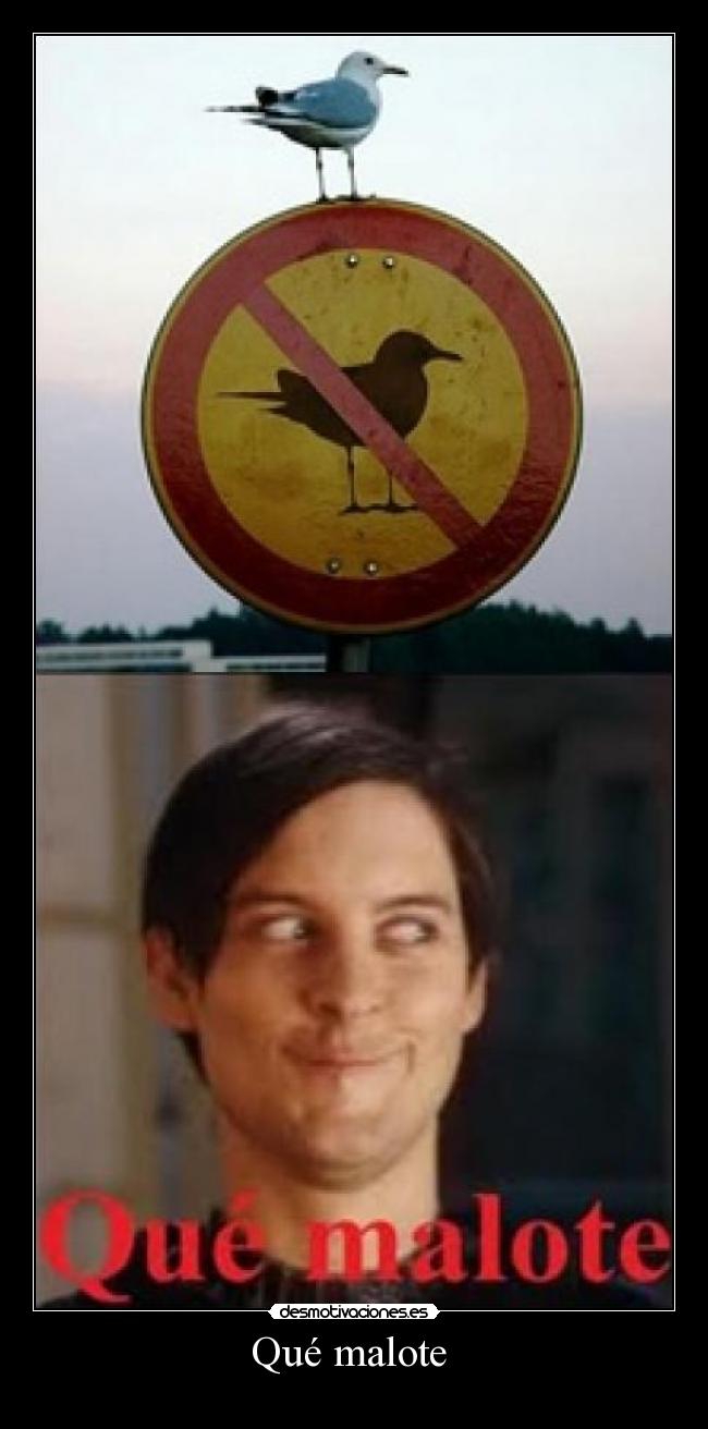 Qué malote -