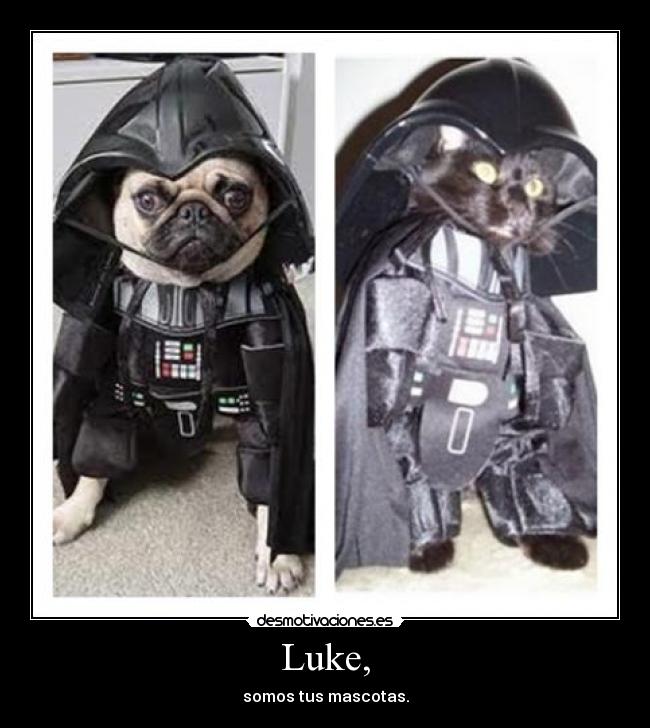 Luke, - 