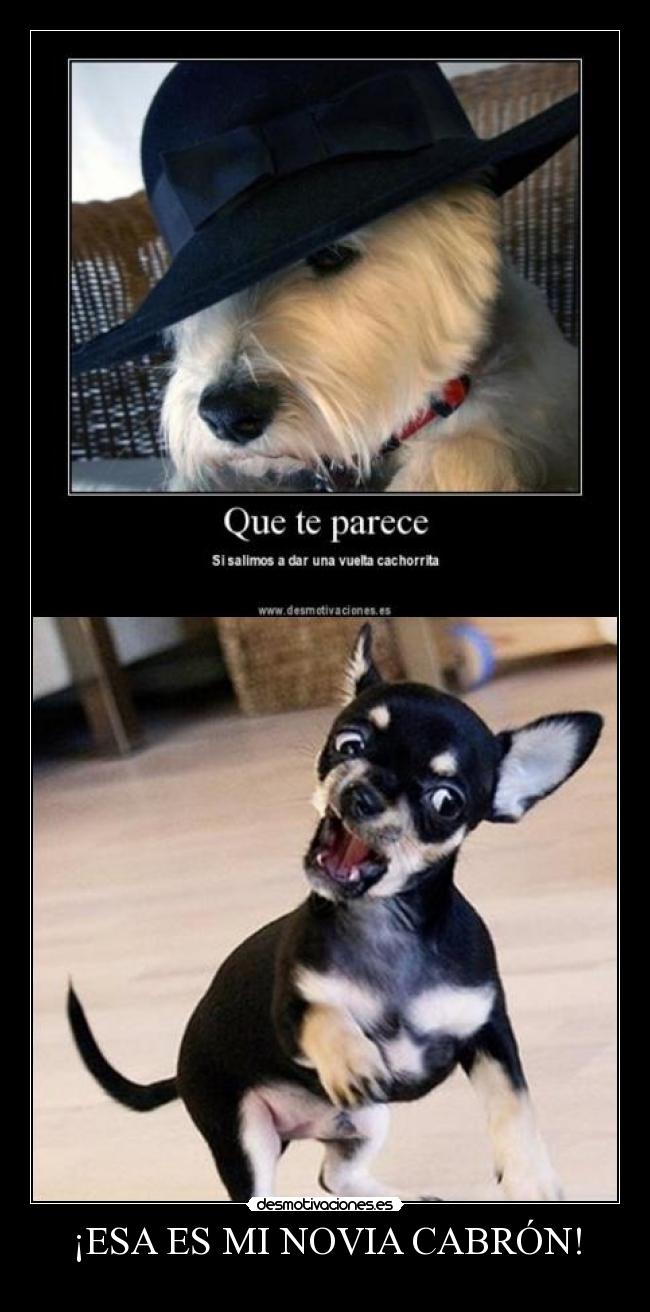 ¡ESA ES MI NOVIA CABRÓN! -