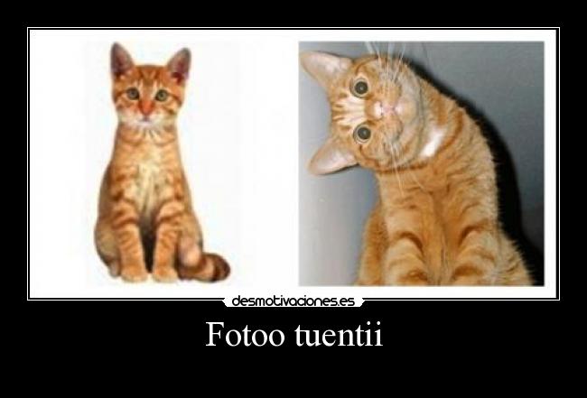 Fotoo tuentii -