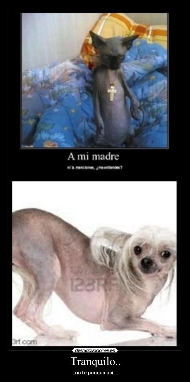 Tranquilo.. - ..no te pongas así....