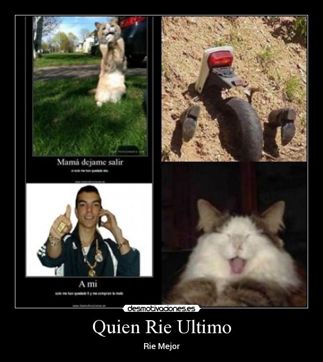 Quien Rie Ultimo -