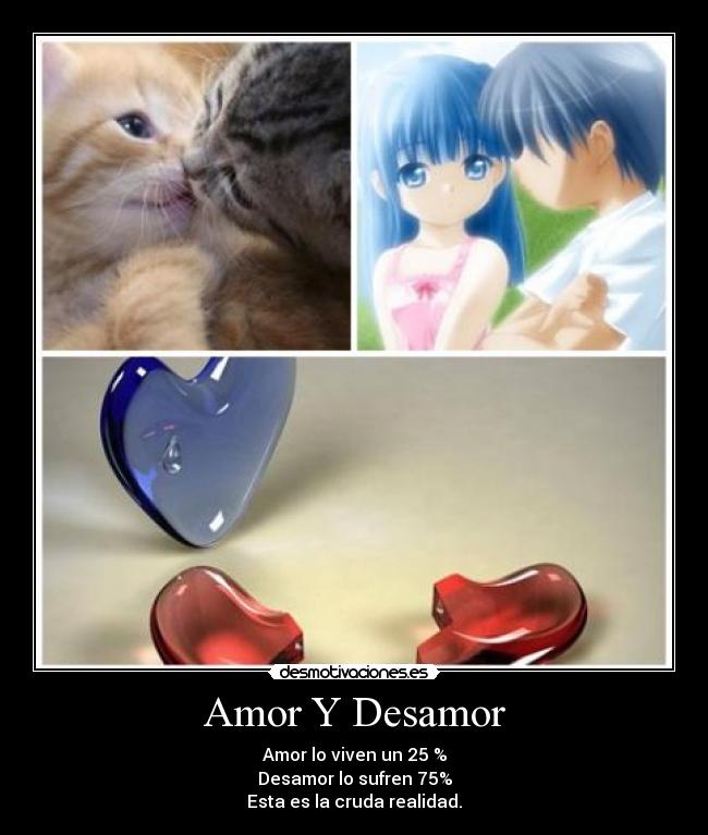 Amor Y Desamor - 