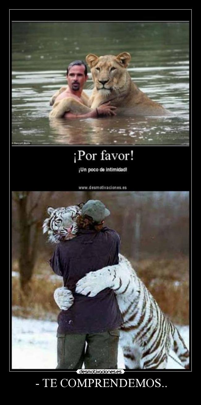 - TE COMPRENDEMOS.. -