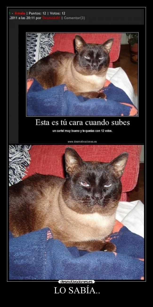 carteles fgfgfgfgfggffgfgfgfggf desmotivaciones