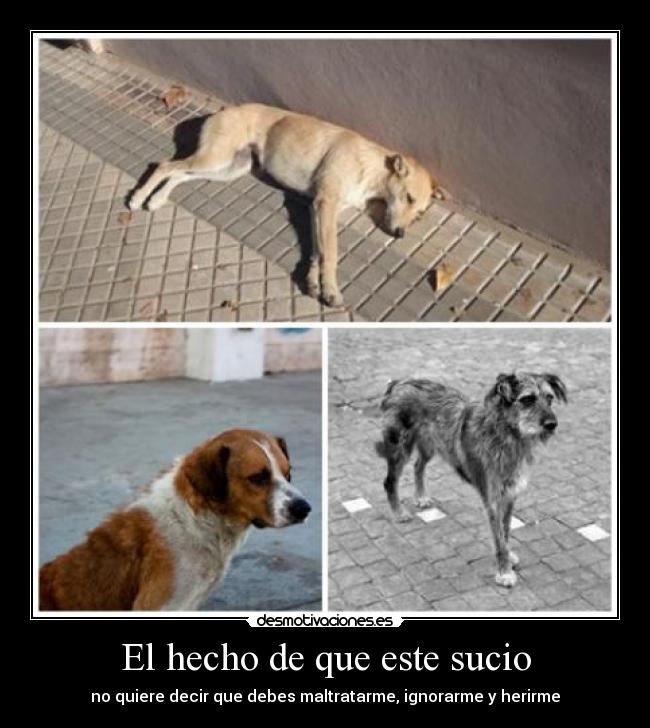 El hecho de que este sucio - no quiere decir que debes maltratarme, ignorarme y herirme