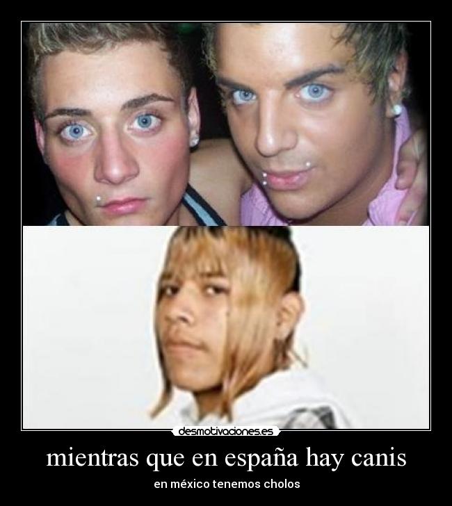 mientras que en españa hay canis - en méxico tenemos cholos
