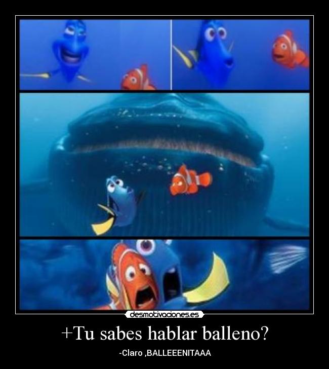 +Tu sabes hablar balleno? - 