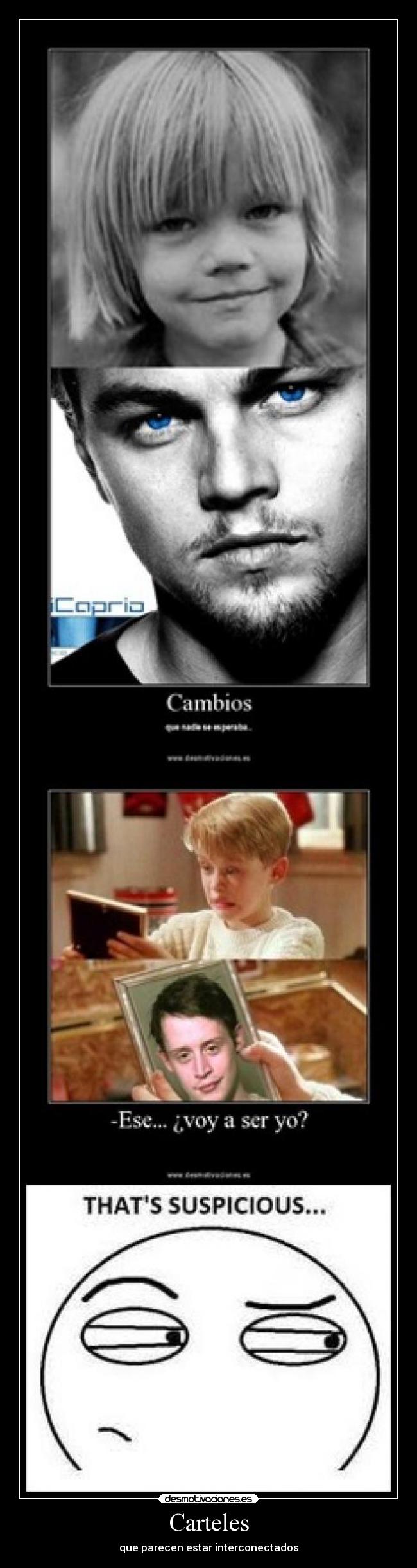 Carteles - que parecen estar interconectados