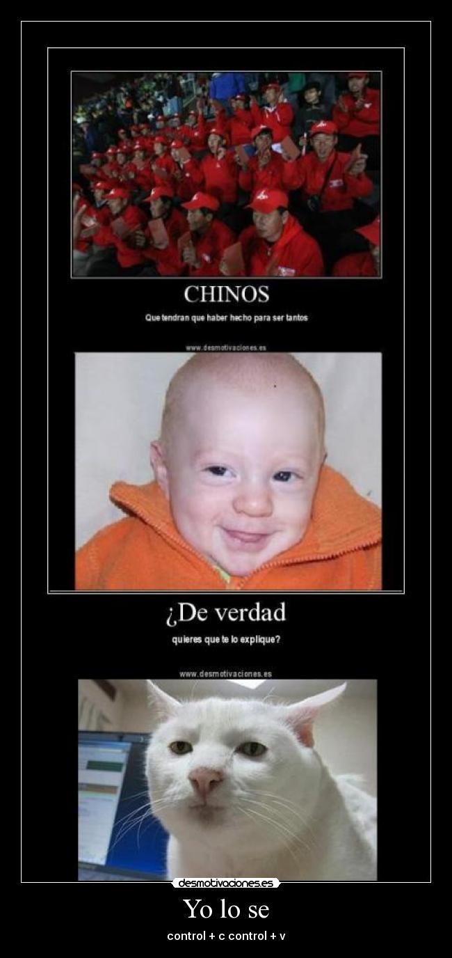 Yo lo se - control + c control + v