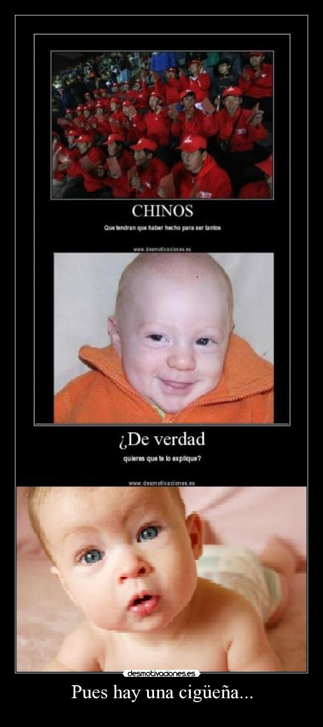 Pues hay una cigüeña... -