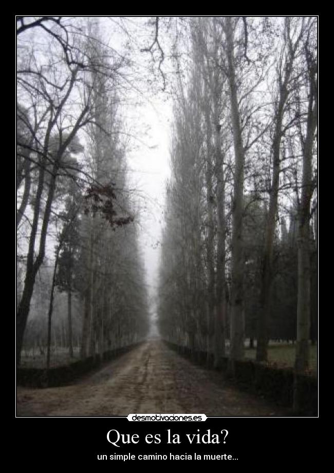 Que es la vida? - un simple camino hacia la muerte...