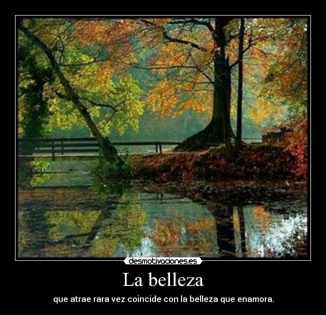 La belleza -