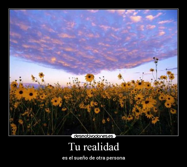 Tu realidad -