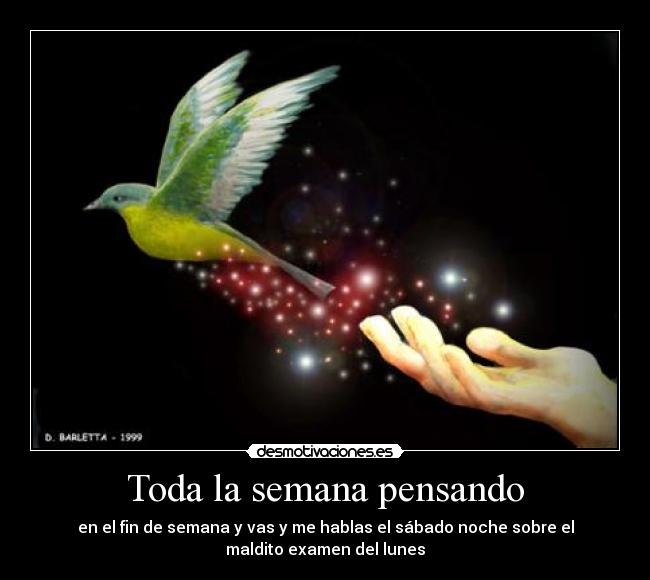 Toda la semana pensando - en el fin de semana y vas y me hablas el sábado noche sobre el
maldito examen del lunes