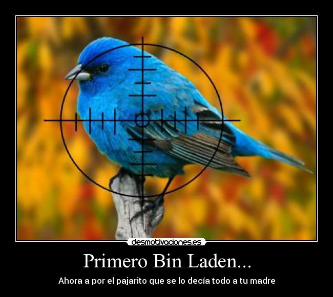 Primero Bin Laden... -