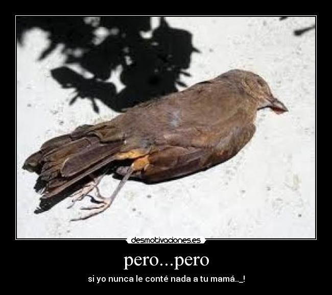 pero...pero -