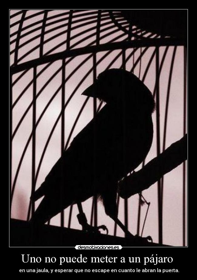 carteles uno puede meter pajaro desmotivaciones