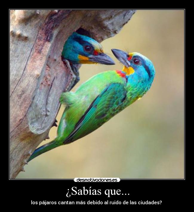 carteles leckram desmotivaciones