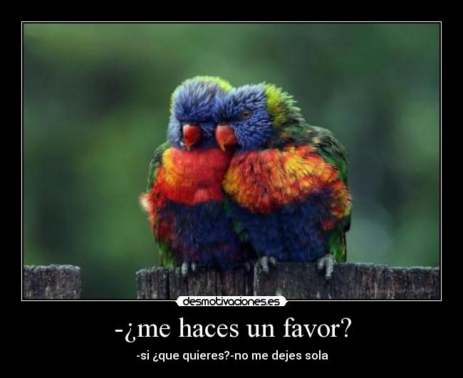 -¿me haces un favor? - -si ¿que quieres?-no me dejes sola