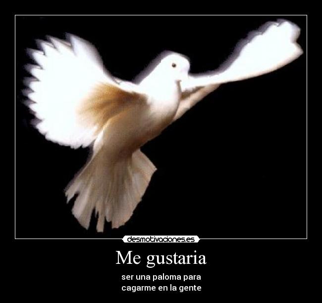 Me gustaria - 
