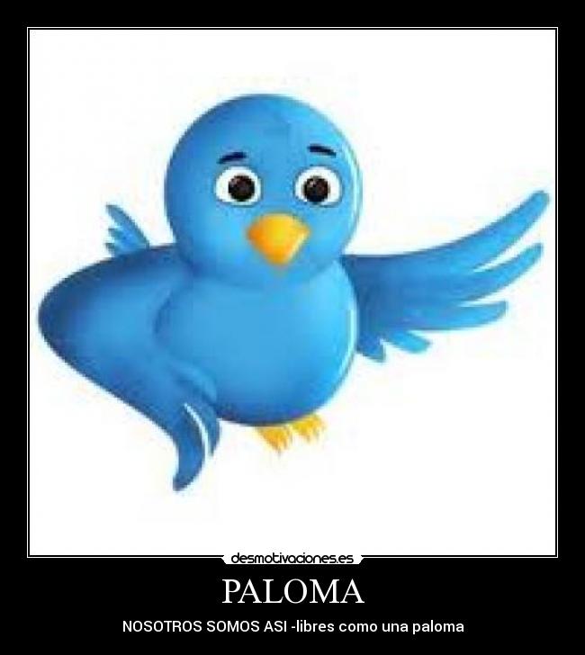 PALOMA - 